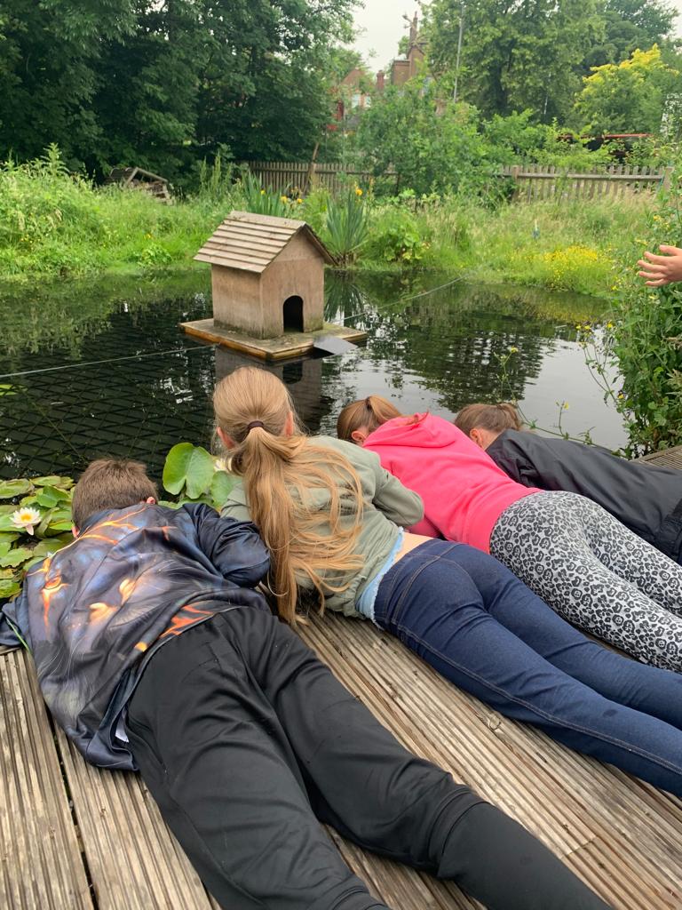 Forest School for Schools