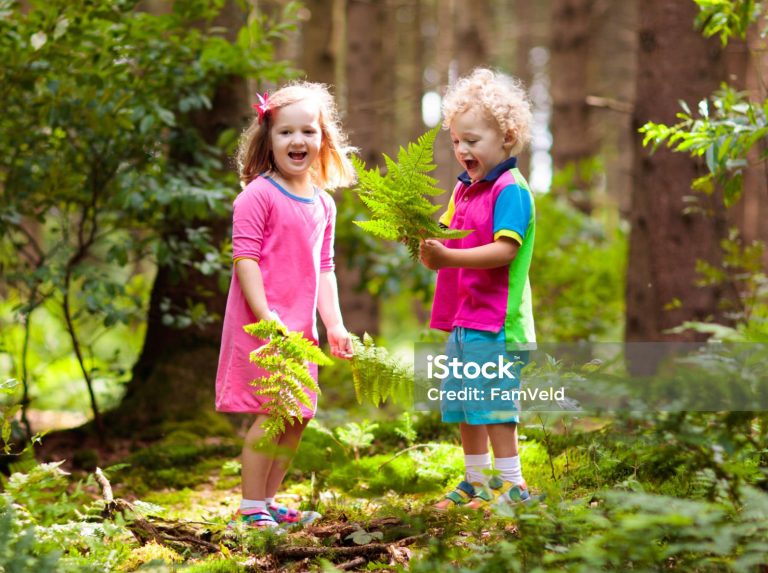 Forest School for Nurseries